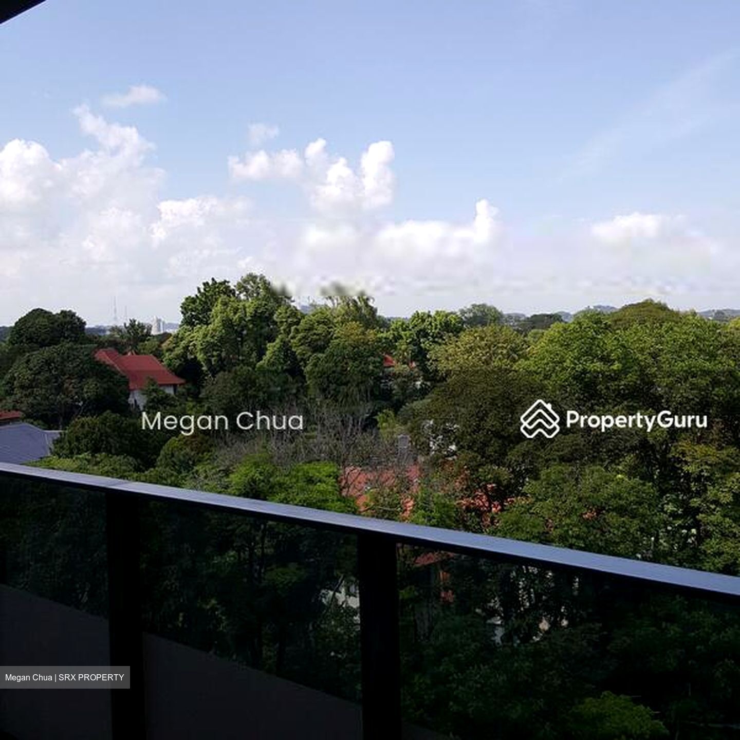 Leedon Residence (D10), Condominium #504617561
